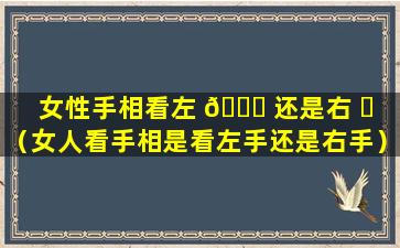 女性手相看左 🐅 还是右 ☘ （女人看手相是看左手还是右手）